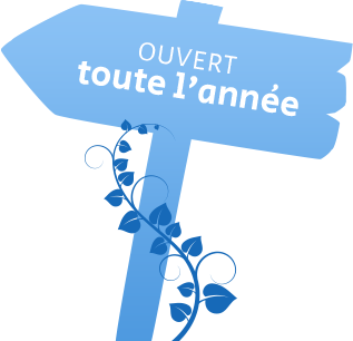 logo hotel du cirque